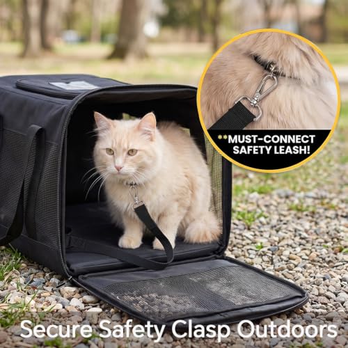 Cat Carrier Soft (Black / 17.0"L x 11.0"W x 11.0"H)