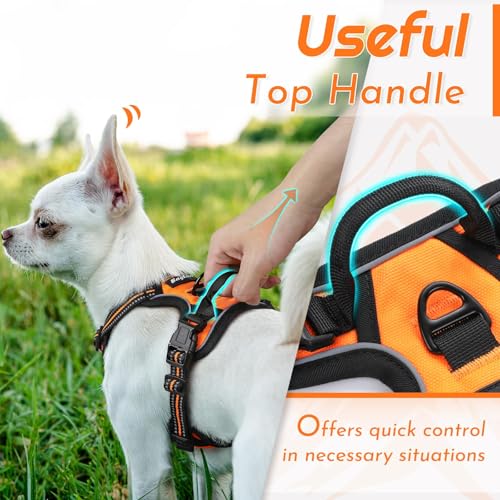 Dog Harness for Small Dogs (X-Small / Orange)