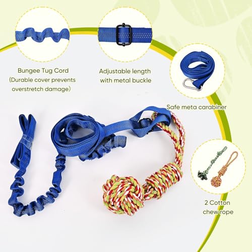 Outdoor Dog Bungee Tug Toy (Large)