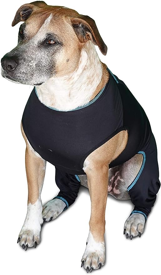 Therapeutic Comfort Suit for Dogs (Small)