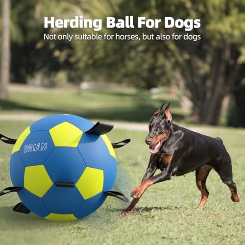 Herding Ball for Dogs with Straps (25 Inch / Blue Yellow)
