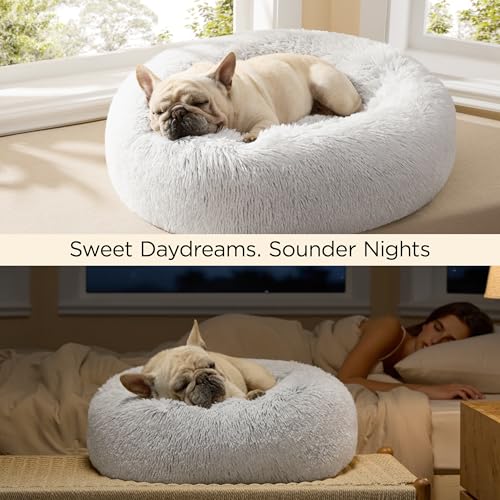 Calming Cat Beds Donut Round Washable Kitten Bed (20"L x 20"W x 6"Th / Frost Grey)