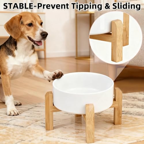 Elevated Raised Ceramic Dog Bowl with Bamboo Stand (White / Medium)