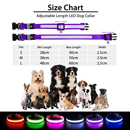 Light up Dog Collar (Purple / M(15 inch-19.7 inch))