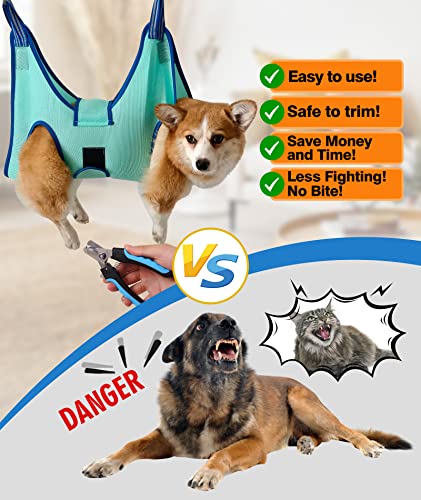 Dog Grooming Hammock (Large 42 LB Max/Turquoise)
