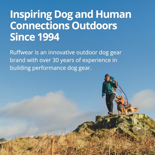Switchbak Dog Leash (River Rock Green / One Size)