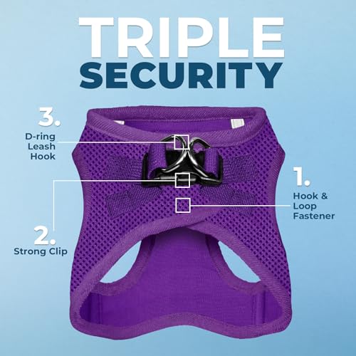 Voyager Step in Air All Weather Mesh Harness and Reflective Dog 5ft Leash Combo with Neoprene Handle (Harness Leash Set (Purple) / XXS (Chest: 12 - 13.5"))
