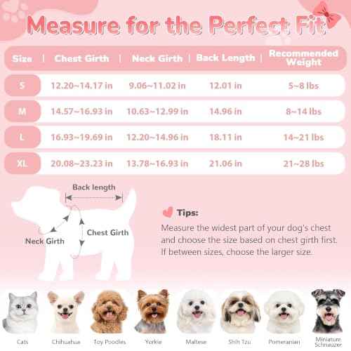 Bowknot Dog Sweater Dress for Small Dogs Girl (X-Large (21-28lbs) / Rose Pink)