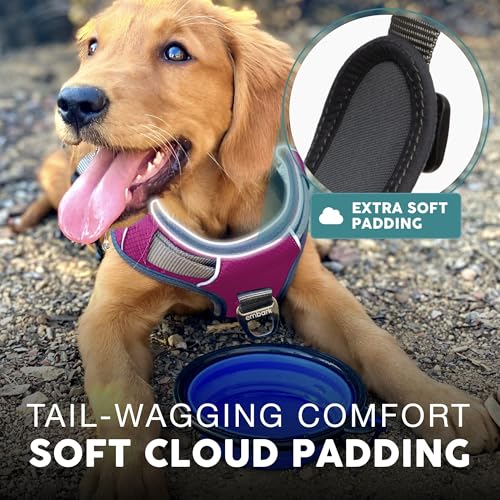 Embark No Pull Dog Harness (L / Pink)
