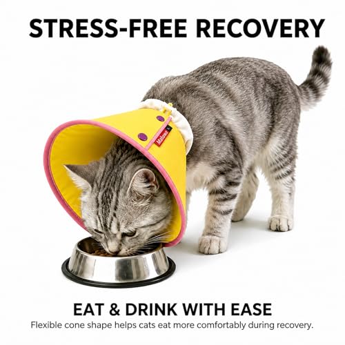 Soft Dog Cone Collar for Dogs & Cats (Yellow / XS)