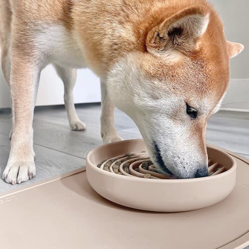 Slow Feeder Dog Bowl (Sand - Rainbow Design / Medium (7.5” Across x 1.5” Tall))