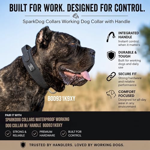 SparkDog 4ft Working Dog Control Leash (Heavy Duty Stainless Steel / L 4' * W 3/4")