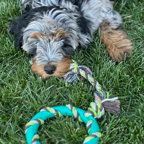 Puppy Chew Toys for Teething
