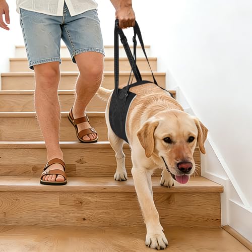 Dog Sling Adjustable Dog Lift Harness (F001-Black / XL)