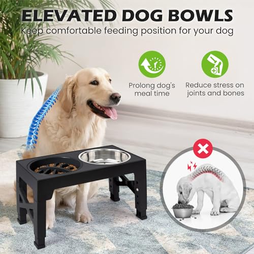 Elevated Dog Bowls with 5 Adjustable Heights Stand (Black)