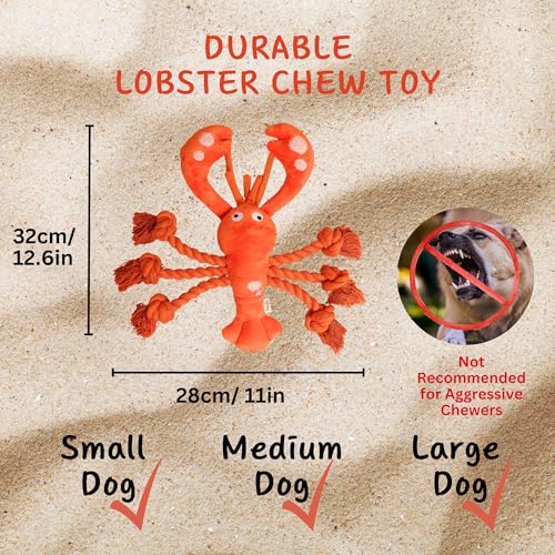 Large Squeaky Dog Toys (Regular Lobster)