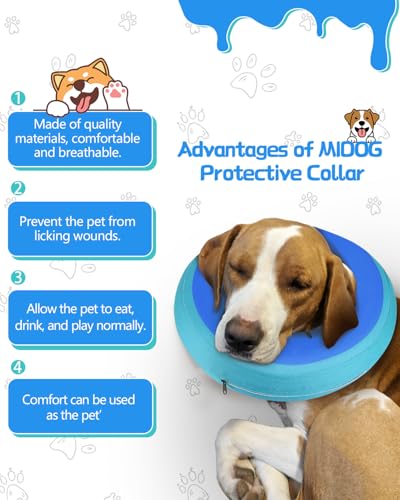Inflatable Dog Cone (GreenBlue / M+(14"-18"))