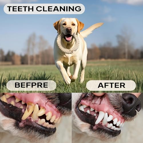 Dog Rope Toys for Aggressive Chewers (4 Style Set)