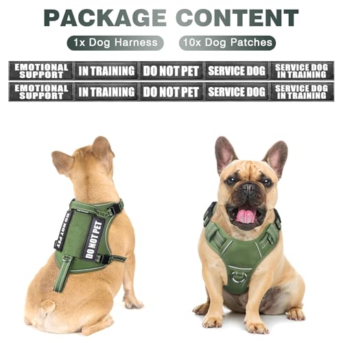 Tactical Dog Harness (Small / Green)