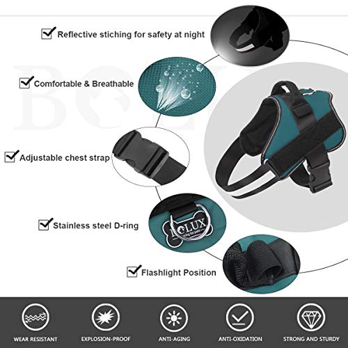 Dog Harness No (Small (Pack of 1) / Turquoise)