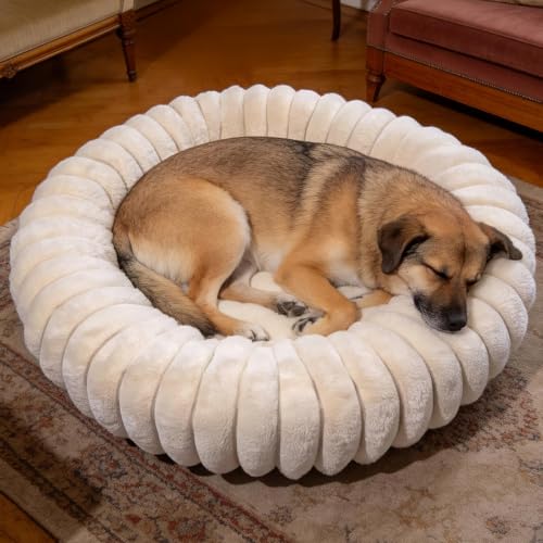 Donut Small Medium Dog Bed Washable Kitty & Puppy Bed (White / M(28*28*8))