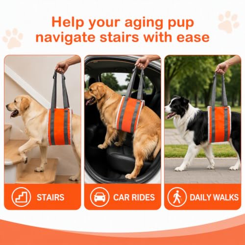 20 150lb Dog Sling for Large Dogs Hind Leg Support (Orange)