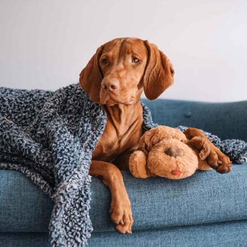 Snuggle Puppy Heartbeat Toy (Biscuit)