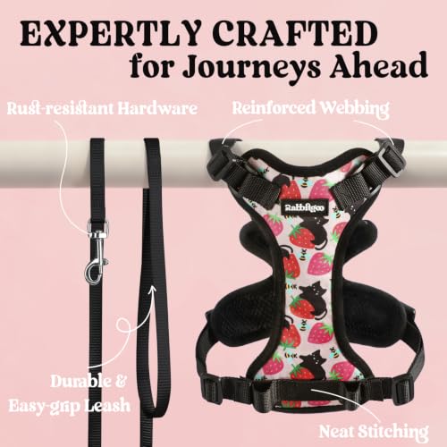 Cat Harness and Leash Set (Xxs / Berry Pounce)