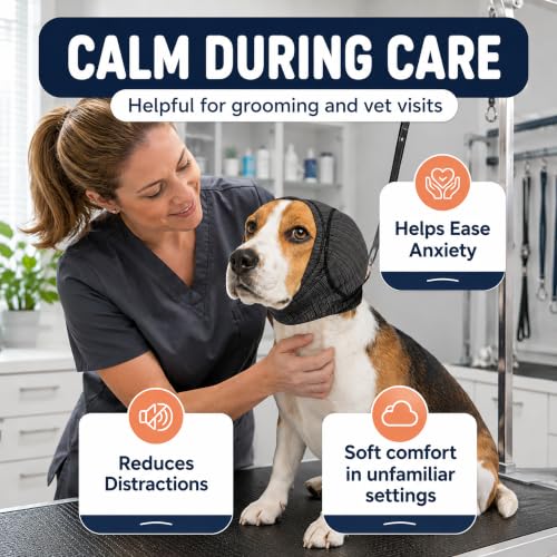 Dog Calming Head Wrap (Gray / S:Head Circumference: 11.8–13.8 in)