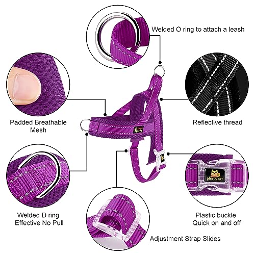 No Pull Dog Harness for Medium Sized Dog (M: chest 19.7"-25.2" / Purple)