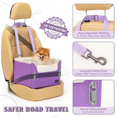 Small Dog Car Seat
