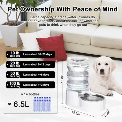 6.5L Stainless Steel Dog Water Dispenser (6.5L / White)