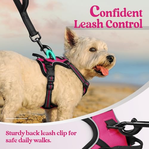 Dog Harness No Pull with 2 Leash Clips (X-Small / Hot Pink)