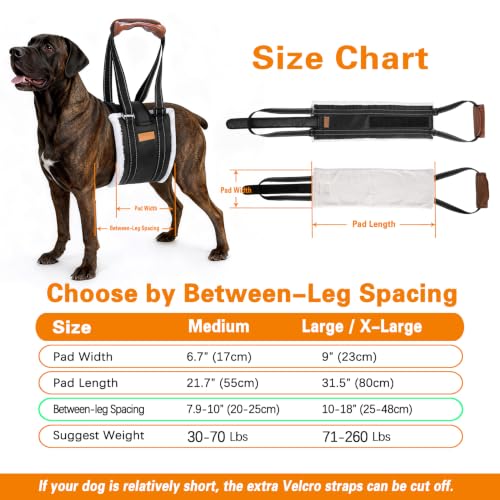 Dog Lift Harness (Black / M - Betwwen-Leg Spacing: 7.9"-10”)