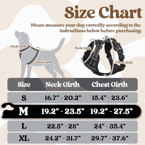 Dog Harness Medium Sized (Medium / Black)