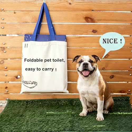 Dog Litter Box with High Walls (Black star / M-36''Lx23.6''Wx16''H)