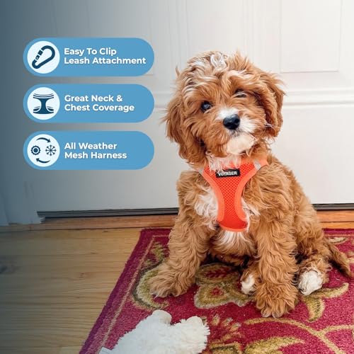 Voyager Step in Air All Weather Mesh Harness and Reflective Dog 5ft Leash Combo with Neoprene Handle (Harness Leash Set (Orange) / S (Chest: 14.5 - 16"))