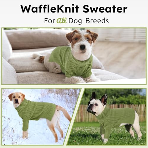 Dog Sweaters for Medium Dogs Waffle Knit Long Sleeve Cat Sweater (Green / Medium)