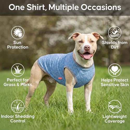 2Pack Dog Shirt for Small Dogs Sun Protection Tank Top for Summer (Medium (7-13lbs) / 3# 2Pack (Light Blue+Grey))