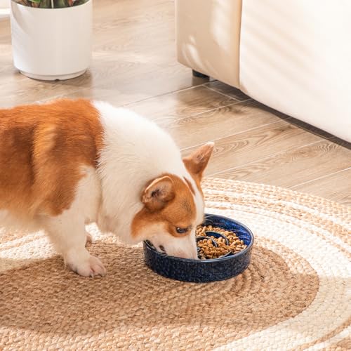 Slow Feeder Dog Bowl (M - 1.5 Cups / Blue)