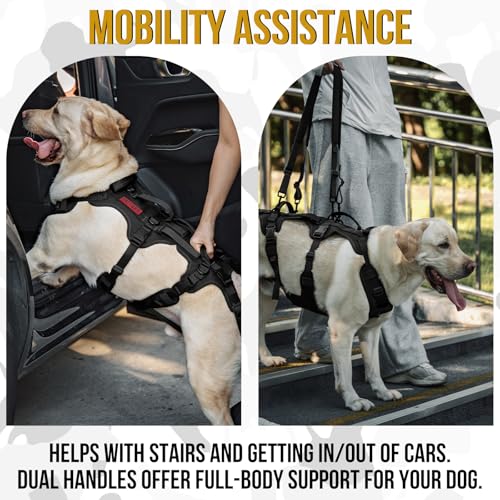 Multi Function Dog Lift Harness (Black / Large)