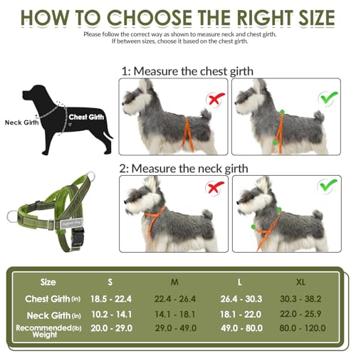 No Pull Dog Harness and Leash Set (Green / Medium)