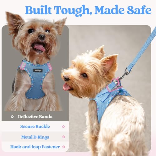 Dog Harness Small Sized and Leash Set (Blue & Plaid Trim / Xs (chest: 13.3 - 15.5"))