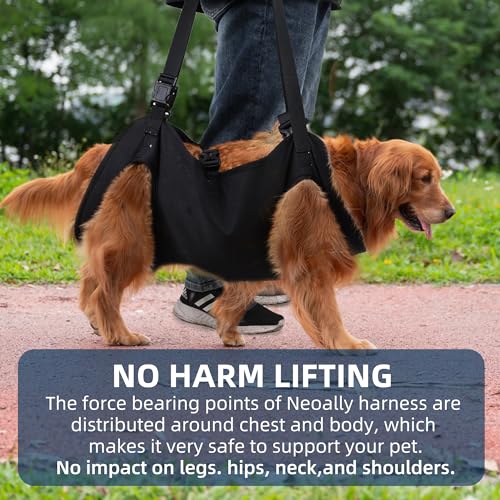 Dog Lift Harness (L)