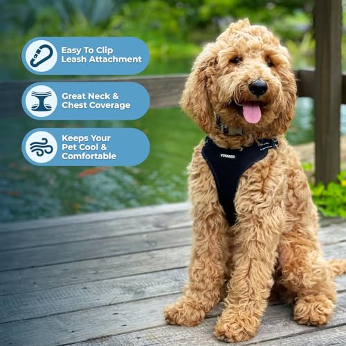 Voyager Adjustable Step (Harness Leash Set (Black) / XL)