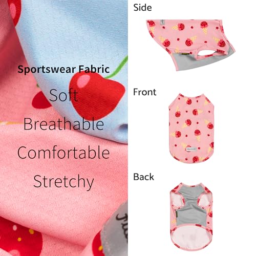 2 Pack Ice Cream & Cherry UPF 50+ UV Sun Protection Dog Shirt (Medium / Ice Cream & Cherry)