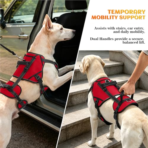 Dog Lift Harness (Red-2 / Medium)