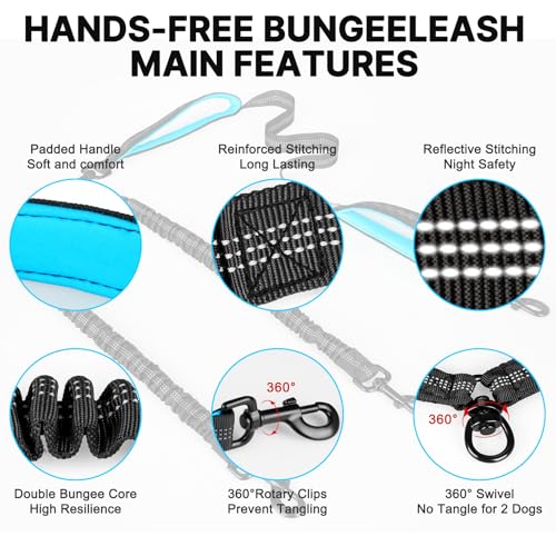 Hands Free Double Dog Leash Tangle Free (for Two Dogs / Black/Blue)