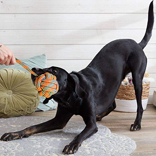 6 Pack Large Dog Rope Toys (Multicolored / 6 Piece Assortment)