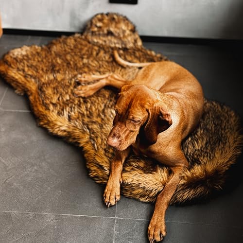 Faux Fur Orthopedic Dog Bed (Brown / Large/Extra Large)